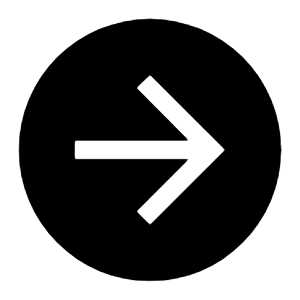 Next Filled Icon from Carbon Set