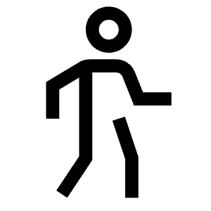Pedestrian Icon from Carbon Set