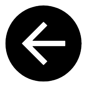 Previous Filled Icon from Carbon Set