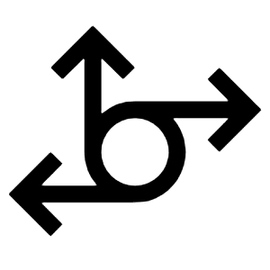 Session Border Control Icon from Carbon Set