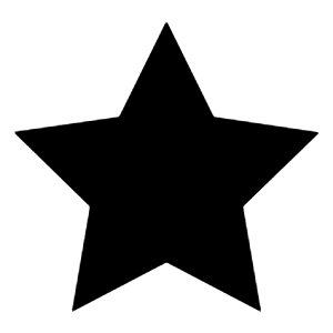 Star Filled Icon from Carbon Set
