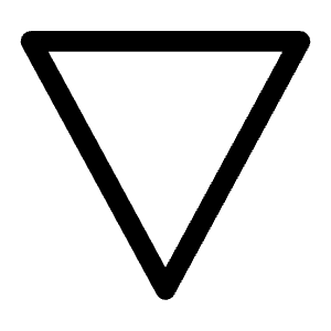 Triangle Down Outline Icon from Carbon Set