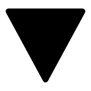 Triangle Down Solid Icon from Carbon Set