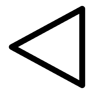 Triangle Left Outline Icon from Carbon Set