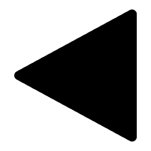Triangle Left Solid Icon from Carbon Set
