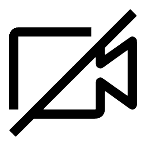 Video Off Icon from Carbon Set