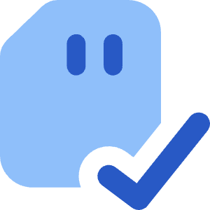 Sd Card Check Validate Icon from Core Flat Set
