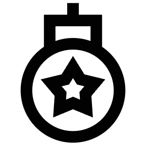 Star Ornament Icon from Atlas Line Set