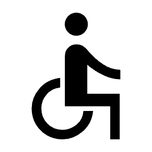 Accessible Fill Icon from Sharp Fill - Material Symbols Set