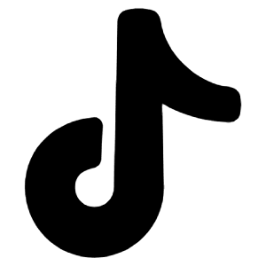 Tiktok Icon from Plump Solid - Free Set