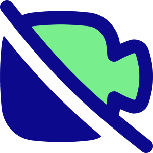 Webcam Video Off Icon from Flex Pop - Free Set