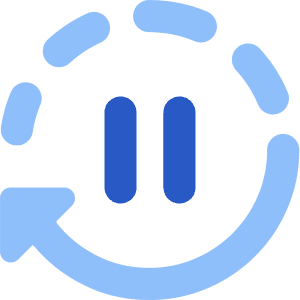 Auto Pause Icon from Core Flat Set