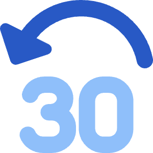 Button Jump Backward 30 Icon from Core Flat Set