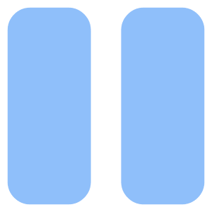Button Pause 2 Icon from Core Flat Set