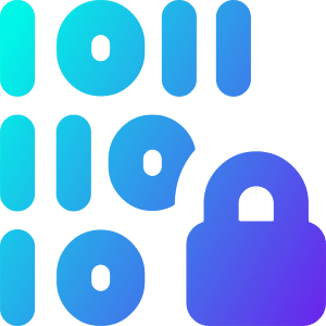 Device Database Encryption 1 Icon from Core Gradient - Free Set