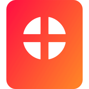 Passport Icon from Core Gradient - Free Set