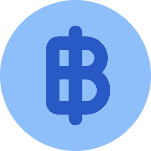Baht Circle Icon from Core Flat Set