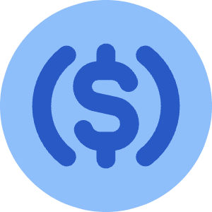 Usdc Circle Icon from Core Flat Set