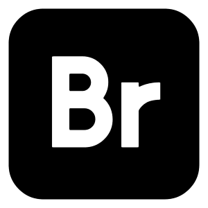 Adobe Bridge Logo Icon from Logos Block - Free Set