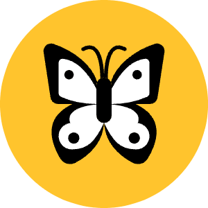 Butterfly Icon from Kameleon Pop - Free Set
