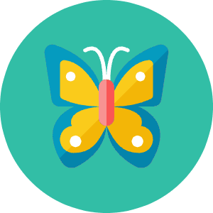 Butterfly Icon from Kameleon Colors - Free Set