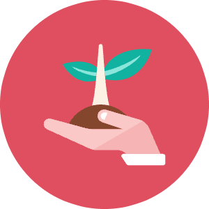 Sprout Icon from Kameleon Colors - Free Set