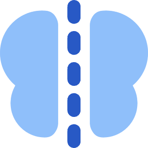 Symmetry Mirror Icon from Core Flat Set