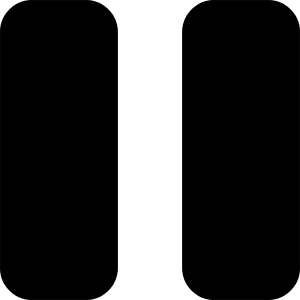 Button Pause 2 Icon from Core Solid - Free Set