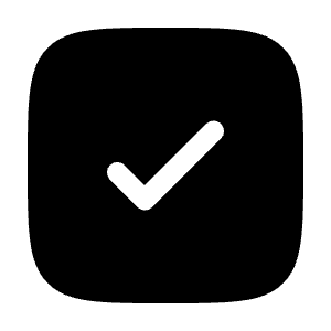 Check Square Icon from Solar Bold Set