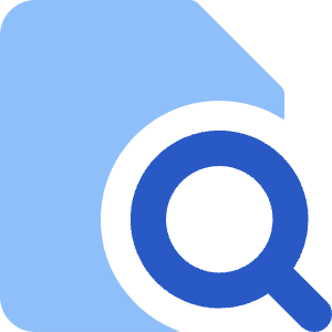 File Search Icon from Core Flat Set