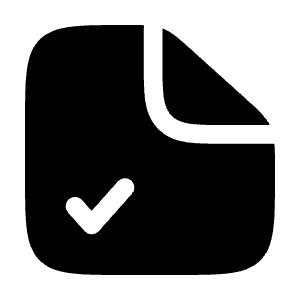 File Check Icon from Solar Bold Set