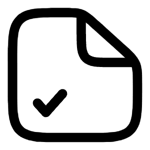File Check Icon from Solar Linear Set