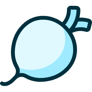 Vegetables Beet 1 Icon from Ultimate Duotone - Free Set