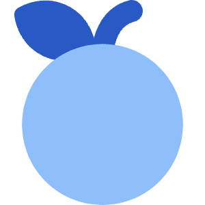Nutrition Fruit Orange Icon from Core Flat Set