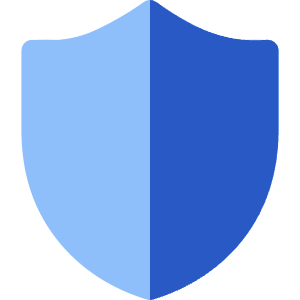 Shield Defense Icon from Core Flat Set