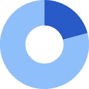 Donut Graph Icon from Core Flat Set
