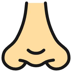 Medical Specialty Nose Icon from Ultimate Colors - Free Set