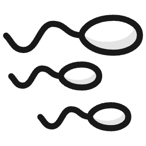 Pregnancy Sperm 1 Icon from Ultimate Colors - Free Set