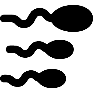 Pregnancy Sperm 1 Icon from Ultimate Bold - Free Set