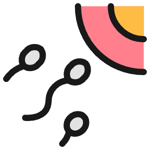 Pregnancy Sperm Icon from Ultimate Colors - Free Set