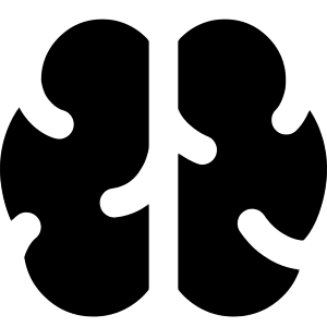 Brain Icon from Core Solid - Free Set