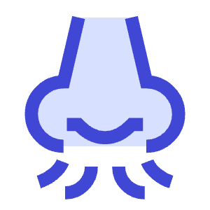 Nose Smell Icon from Sharp Duo - Free Set