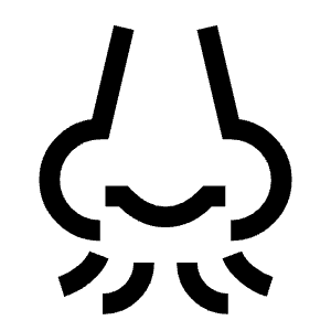 Nose Smell Icon from Sharp Line - Free Set