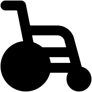 Wheelchair Icon from Core Solid - Free Set