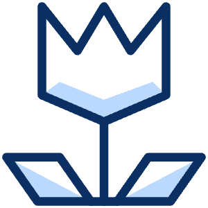 Macro Mode Icon from Cyber Duotone - Free Set