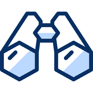 Binocular 1 Icon from Cyber Duotone - Free Set