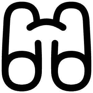 Binoculars Icon from Flex Line - Free Set