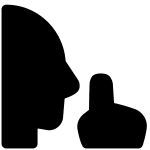 No Photo Taking Zone Icon from Plump Solid - Free Set