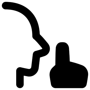 No Photo Taking Zone Icon from Plump Remix - Free Set