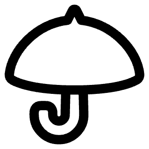 Open Umbrella Icon from Plump Line - Free Set